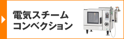 電気スチームコンベクション