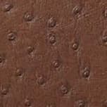 ダルレザー/122cm巾/5
