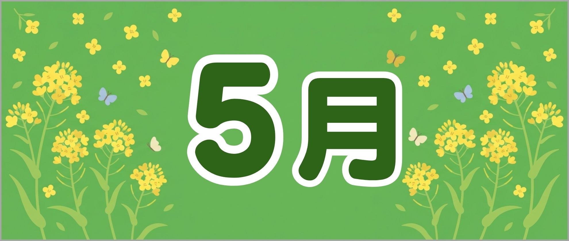 5月