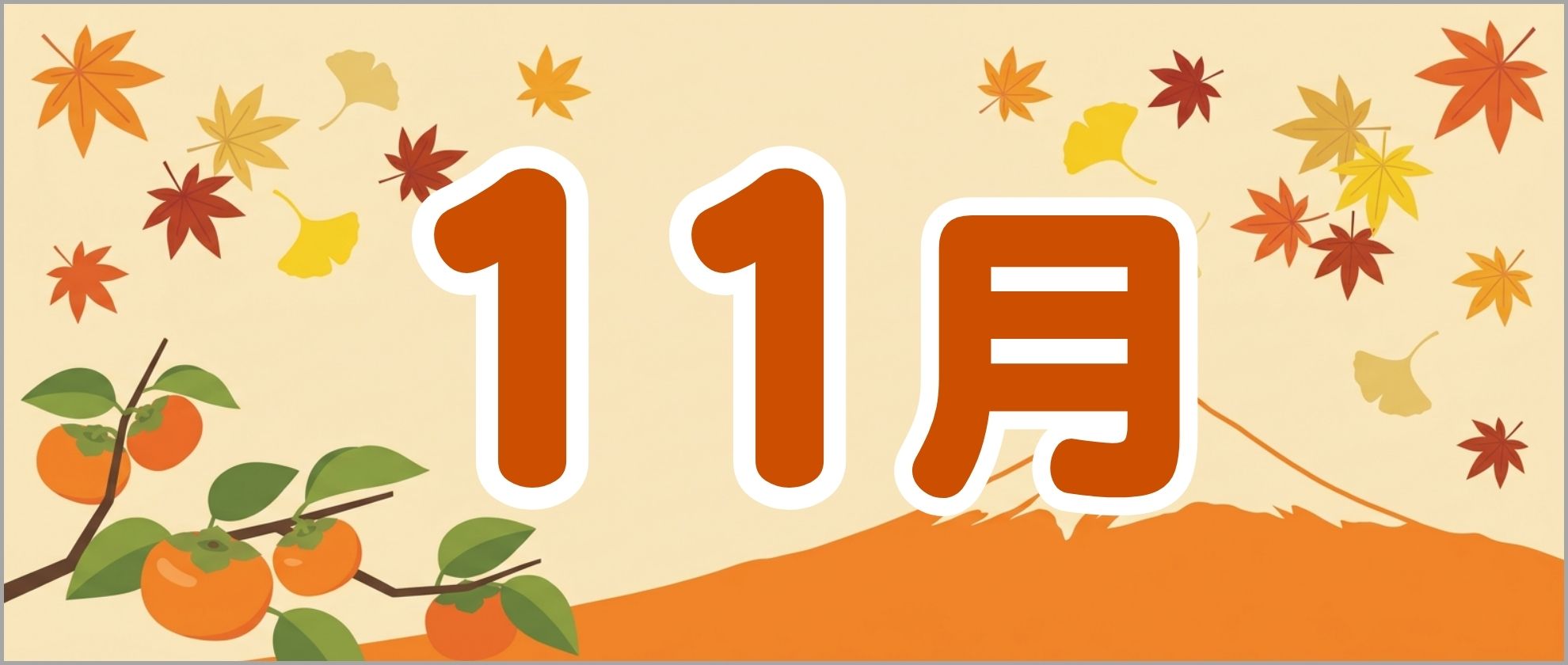 11月