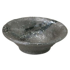 彗星 石目3.3鉢