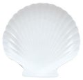 シェル9 1/2インチ大皿ニューウェーブ