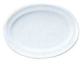 ニューバージョン 12インチプラター