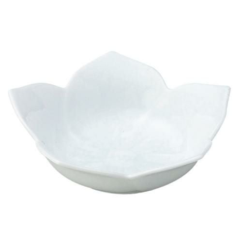 桔梗 白 浅鉢 大