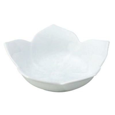 桔梗 白 浅鉢 大