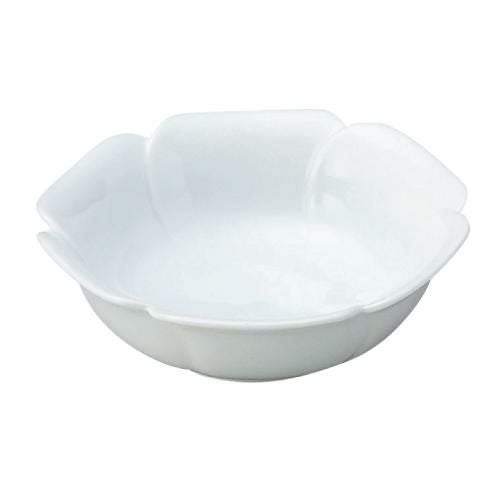 花芙蓉 白 浅鉢