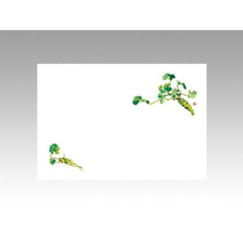 【10袋セット】テーブルマットNo.206 わさび 1袋(100枚入)