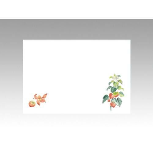 【10袋セット】テーブルマットNo.233 ほおずき 1袋(100枚入)