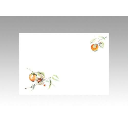 【10袋セット】テーブルマットNo.9223 柿 1袋(100枚入)