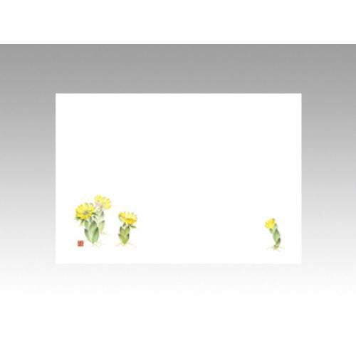 【10袋セット】テーブルマットNo.229 福寿草 1袋(100枚入)