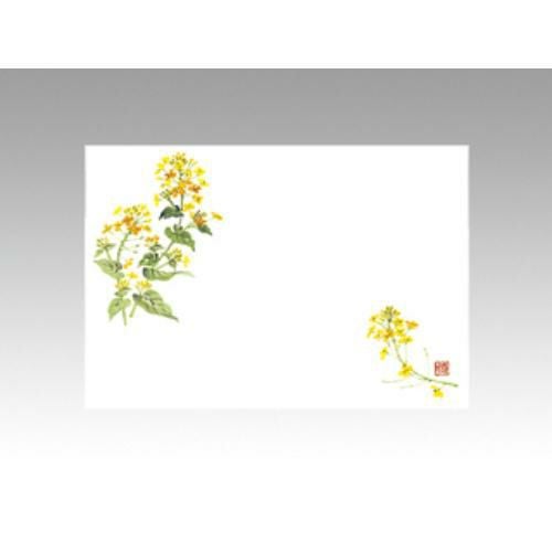【10袋セット】テーブルマットNo.266 菜の花 1袋(100枚入)