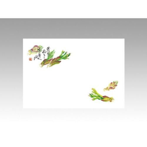 【10袋セット】テーブルマットNo.284 たらの芽 1袋(100枚入)