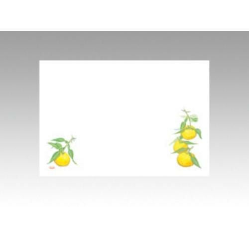 【10袋セット】テーブルマットNo.372 ゆず 1袋(100枚入)