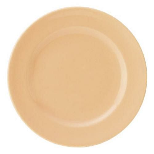 エクシブ 21cm デザート(パステルオレンジ) ジ /業務用食器