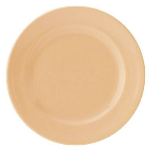 エクシブ 24cm ミート (パステルオレンジ) /グループM