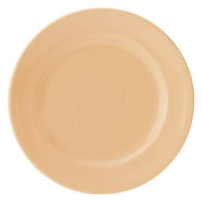 エクシブ 24cm ミート (パステルオレンジ) /グループM