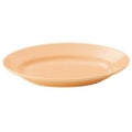 エクシブ 23cm プラター (パステルオレンジ) /グループM