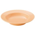 エクシブ 24cm スープ (パステルオレンジ) /グループM
