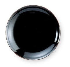 うるし天目9.0皿