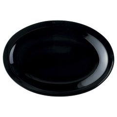 10インチプラター黒艶