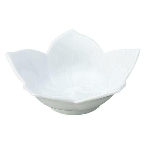 桔梗 白 浅鉢 小