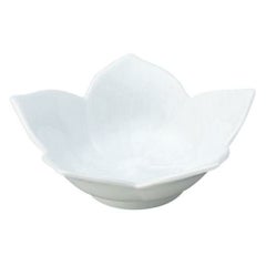 桔梗 白 浅鉢 小