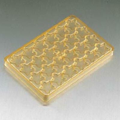 No.60 星型 24ヶ取