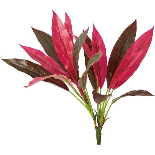 GL-5256 ドラセナアイチアカブッシュ