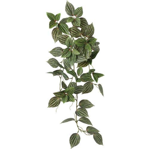 GL-5339 ピレアグラウカハンガー/全長85cm 葉長6～10cm 幅45cm