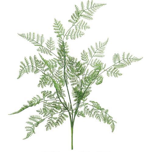 GL-5345 フレキシブルシダーブッシュ/全長64cm 幅37cm