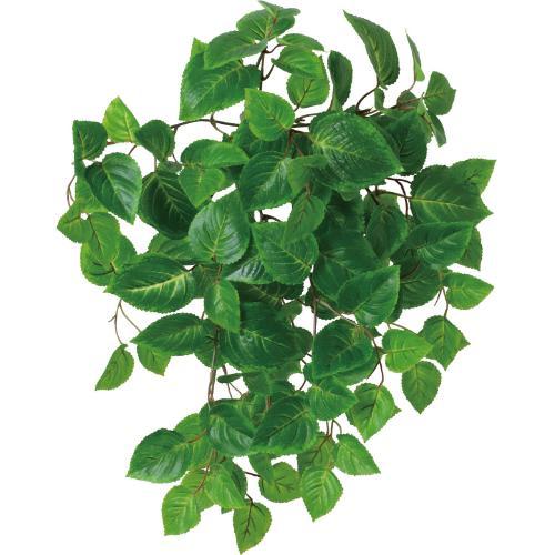 GL-5346 UVリサイクルコリウスブッシュ/全長50cm 葉長6～10cm 幅60cm