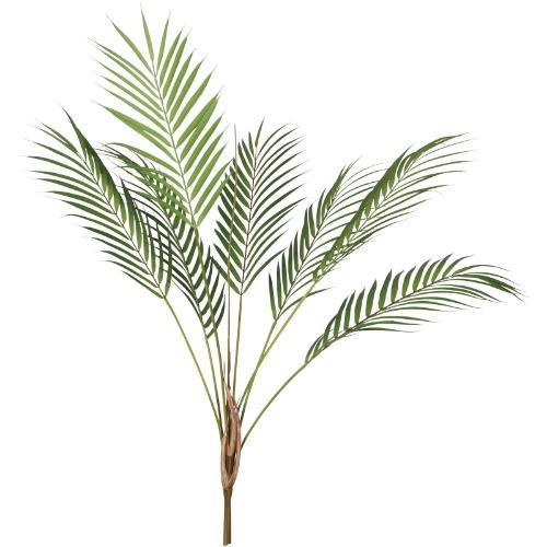 GL-5351KK アレカ/全長67cm 幅33cm 葉 :8 ～ 10cm