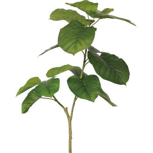 GL-5352KK ウンベラータ/全長90cm 幅40cm 葉 :16 ～ 27cm