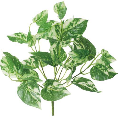 GL-5354 ポトスブッシュ/全長37cm 葉長5～6.5cm