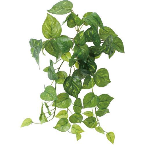 GL-5355 ポトスブッシュ/全長40cm 葉長3.5～6.7cm