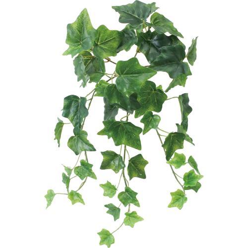 GL-5356 アイビーブッシュ/全長40cm 葉長3.3～6.7cm