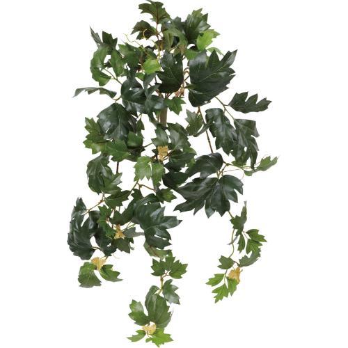 GL-5356KK エレンダニカブッシュ/全長60cm 幅30cm 葉 :2.5 ～ 9cm