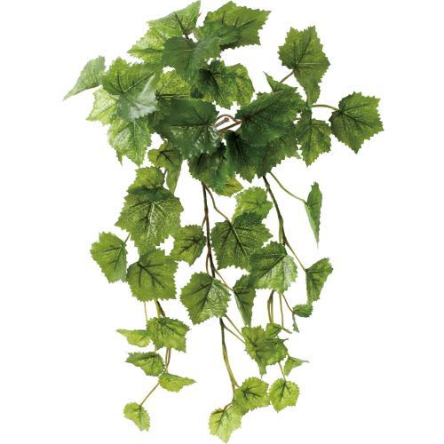 GL-5357 グレープブッシュ/全長40cm 葉長3～6cm