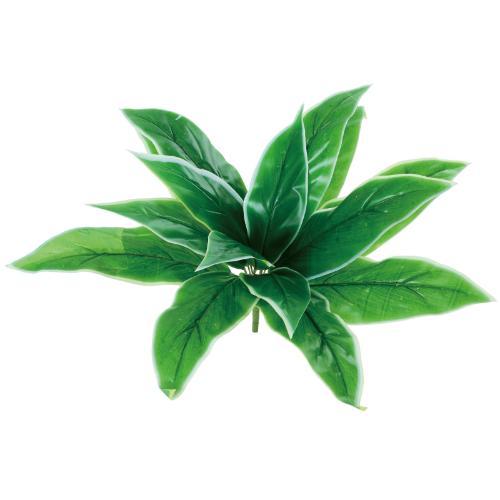 GL-5359 ホスタリーフブッシュ/全長46cm 幅48cm 葉長23～30.5cm