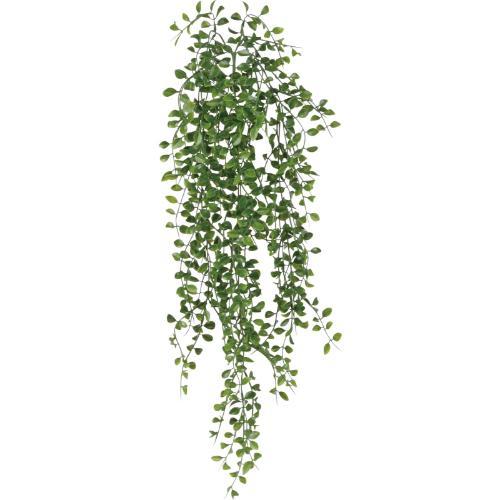 GL-5362KK ブラックローカッスト/全長85cm 葉長1.5cm～2.3cm 幅25cm