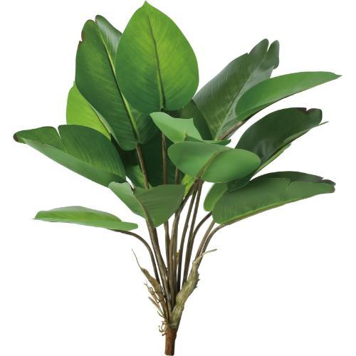 GL-5365 カンナブッシュ/全長46cm 葉長13.5～16.5cm