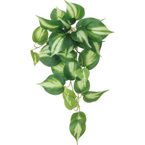 GL-5366 ポトスハンガーS/全長48cm 葉長6.5～12cm