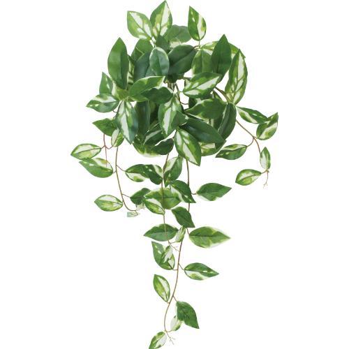 GL-5367 ポトスハンガーM/全長65cm 葉長4.5～10cm