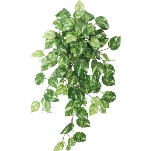 GL-5368 ポトスハンガー/全長70cm 葉長4～9.2cm