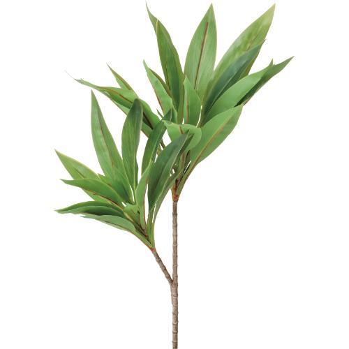 GL-5371 ドラセナコルジリネブッシュ/全長70cm 幅40cm