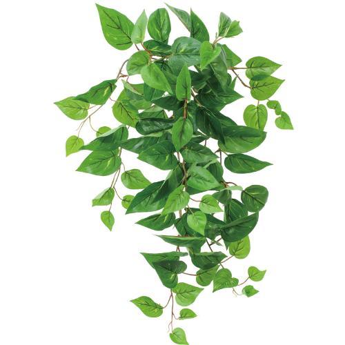 GL-5372 ボウエンUVポトスハンギングブッシュ/全長68cm 葉長4.5～11cm