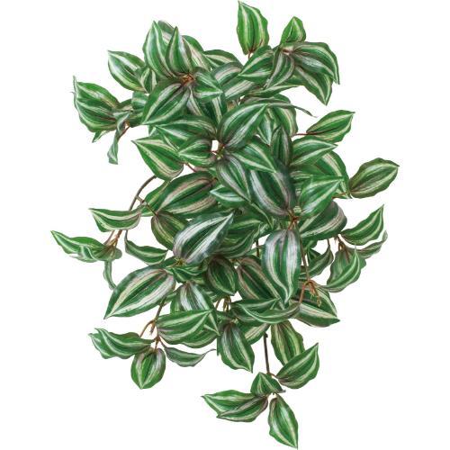 GL-5373 ボウエンUVゼブラハンギングブッシュ/全長45cm 葉長5～9cm