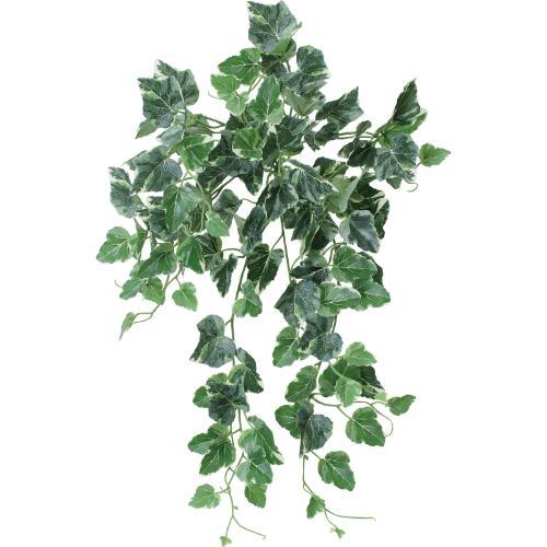 GL-5374 ボウエンUVアイビーバインブッシュ/全長55cm 葉長3～5.5cm