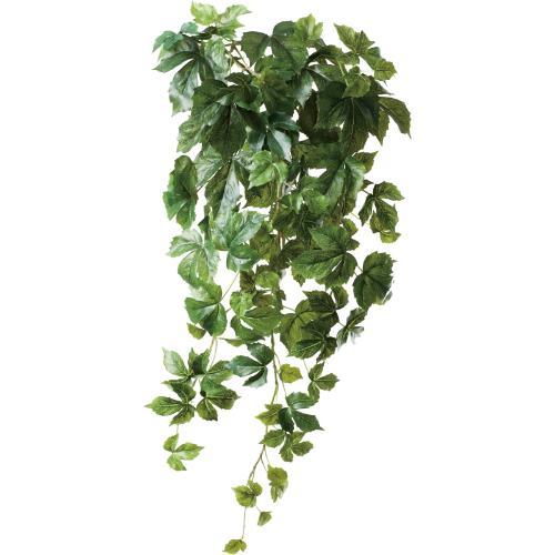 GL-5388/エレンダニカハンガー/全長70cm 幅39cm 葉径5～10cm/送料別途見積