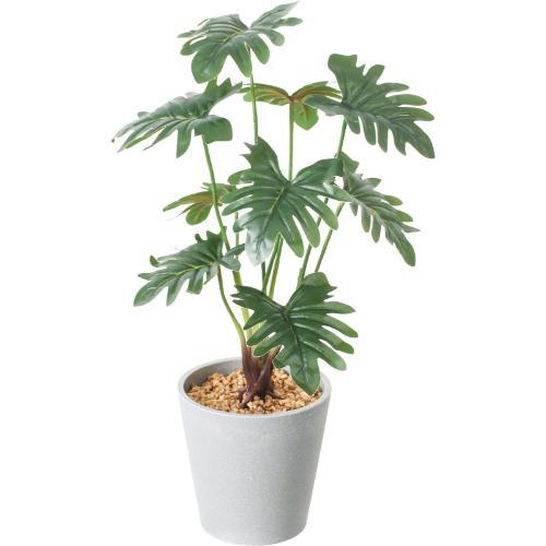 GLA-1562 セロームポット/全長45cm 幅28cm 鉢φ13cm×H12.5cm